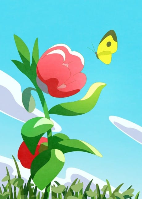 奇蹟鳳仙花 封面圖
