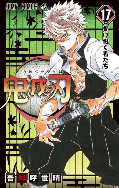 第 17 卷封面