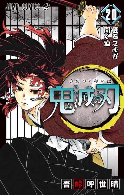 第 20 卷封面