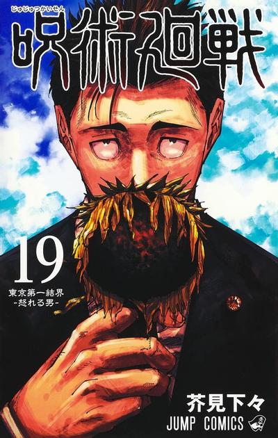 第 19 卷封面