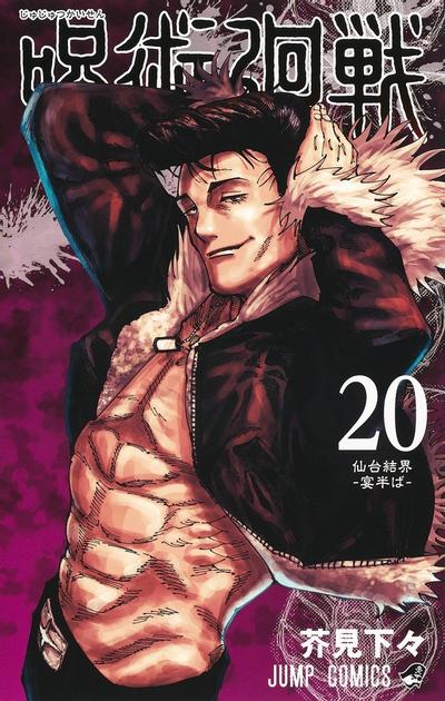第 20 卷封面