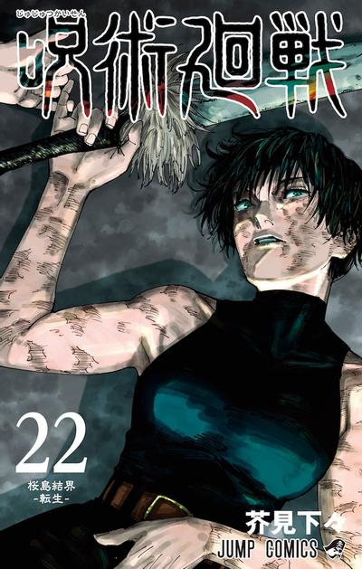 第 22 卷封面
