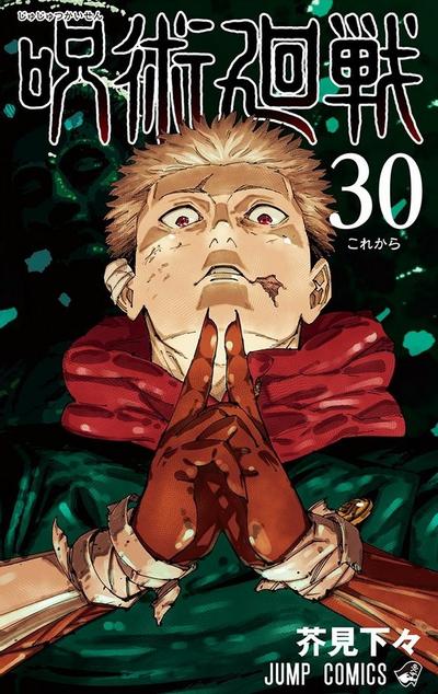 第 30 卷封面