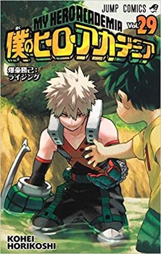 第 29 卷封面