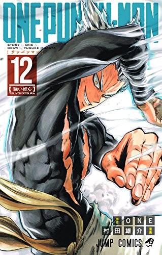 第 12 卷封面