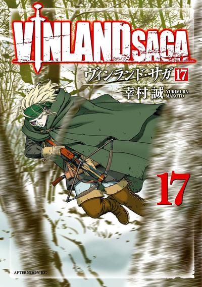 第 17 卷封面