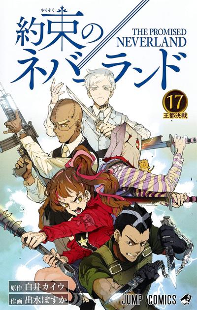 第 17 卷封面