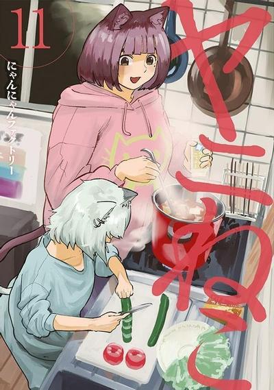 第 11 卷封面